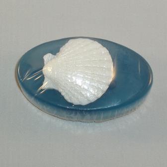 Verschiedene Muscheln In Baden-Württemberg - Schopfloch